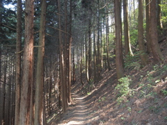 斜光