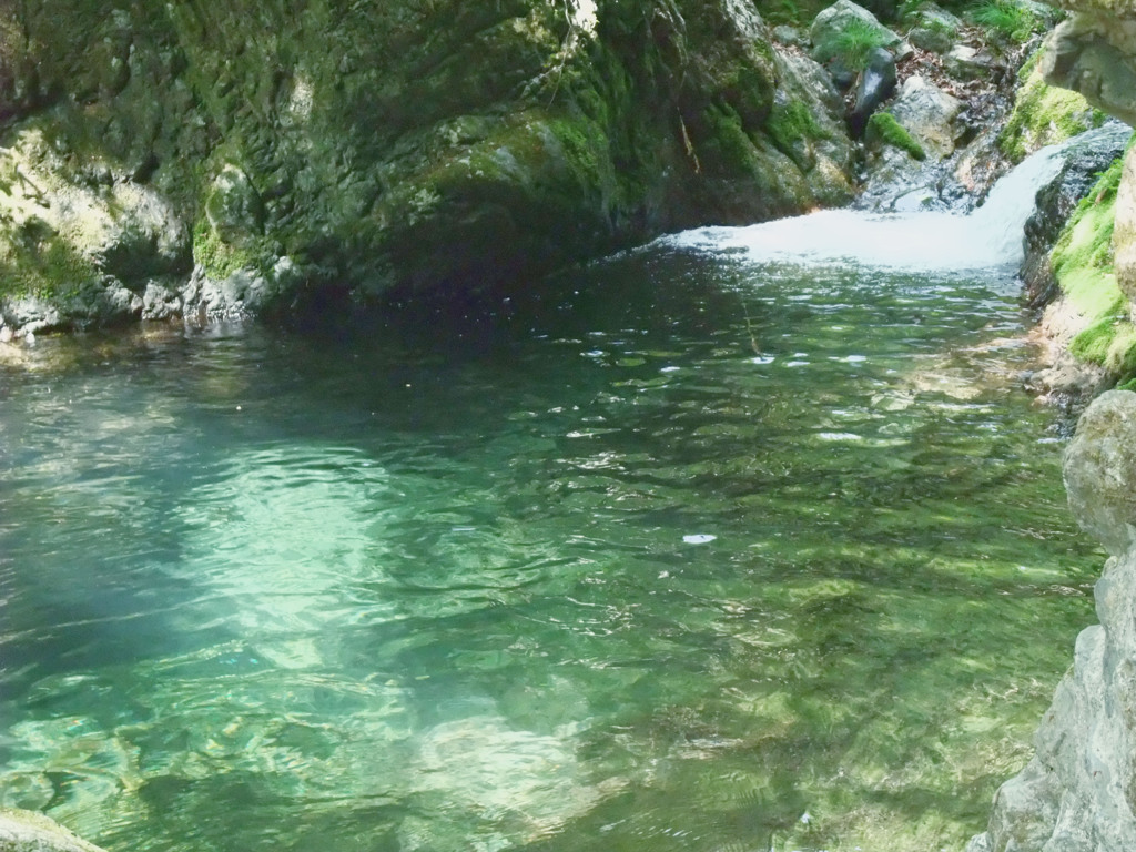 山の湧水