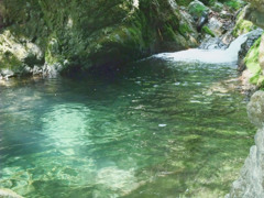 山の湧水