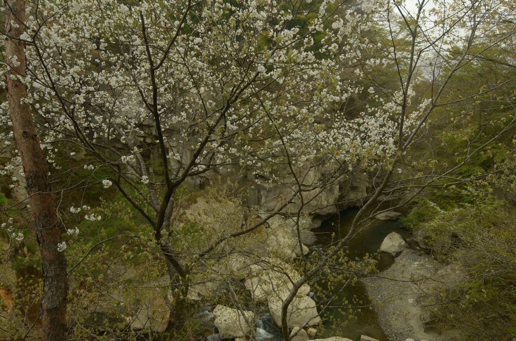 磊々峡
