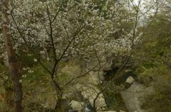 磊々峡
