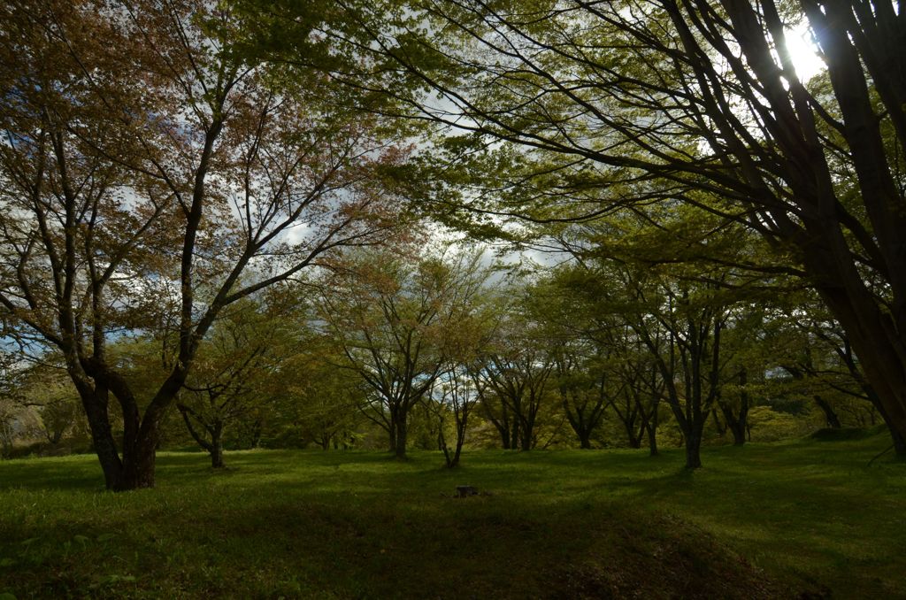 岩切城跡