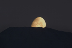 羊蹄MOON