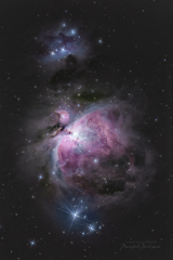 M42