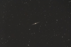NGC4565
