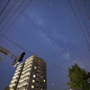 大停電の夜に