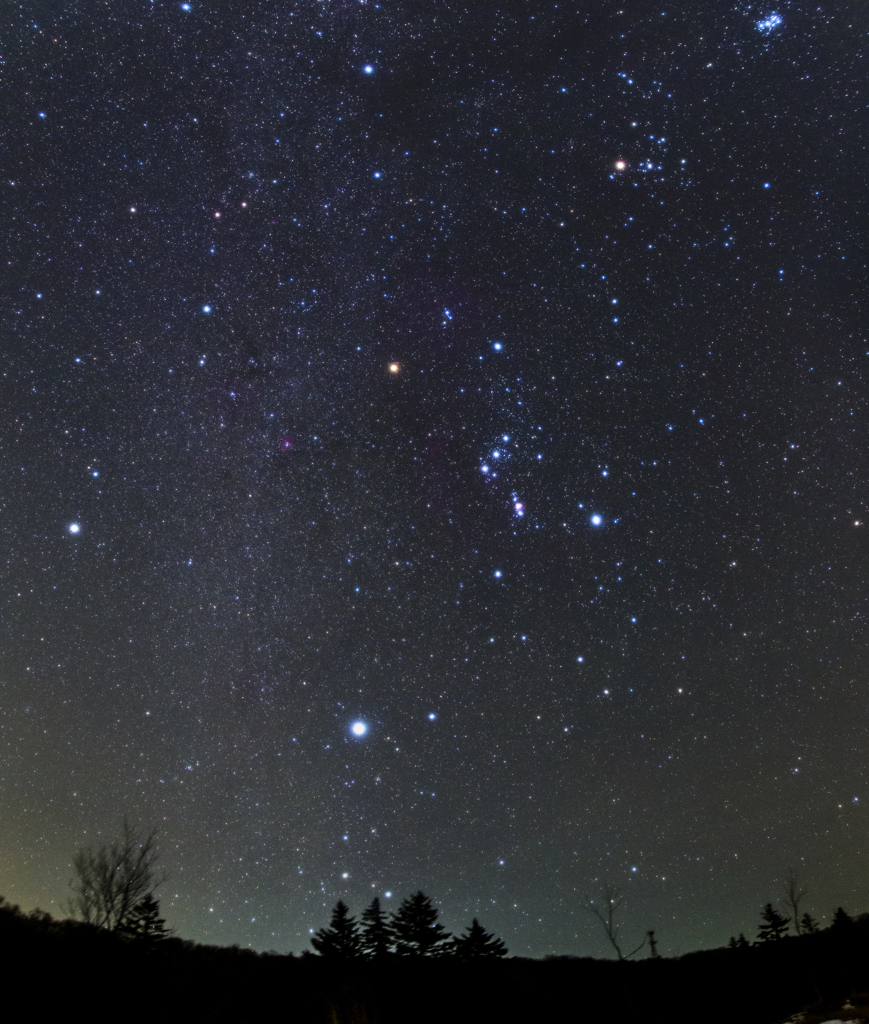 冬の星空