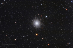 M13