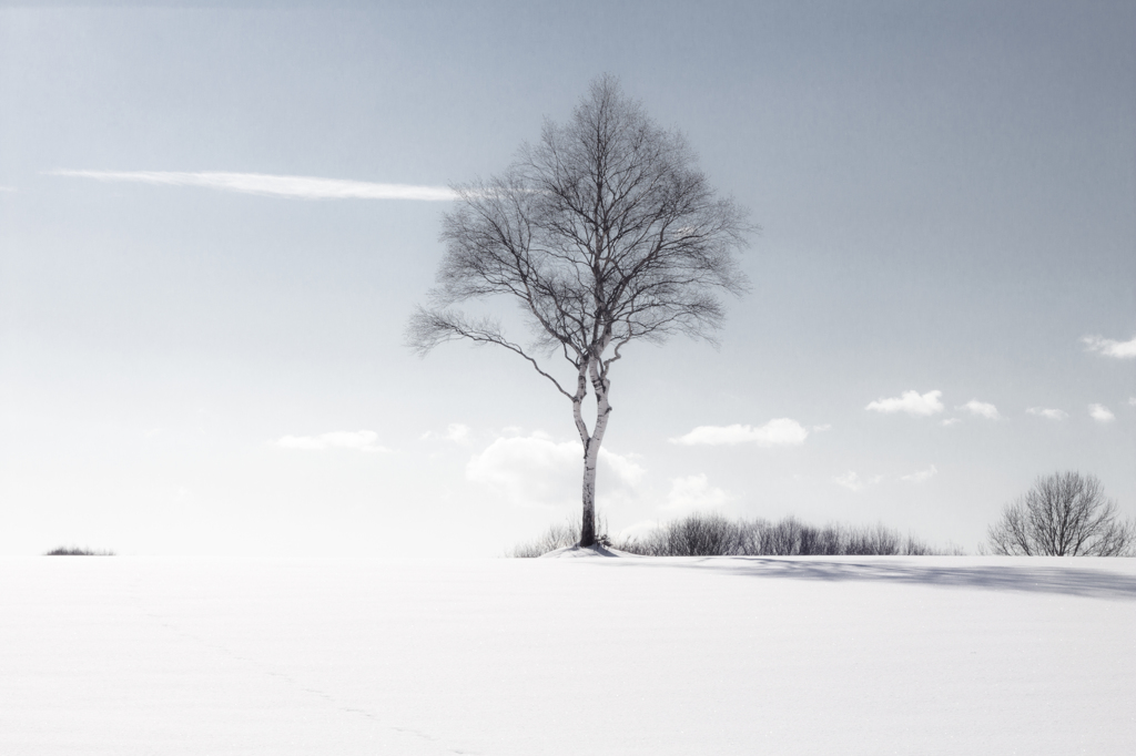 I stand alone.