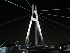 夜の橋脚-1