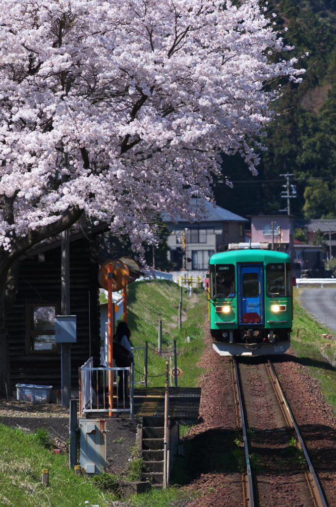 桜駅1