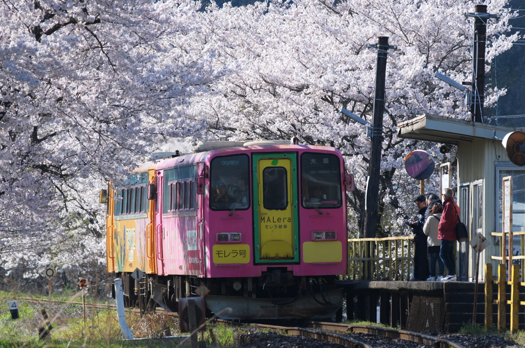 桜駅3