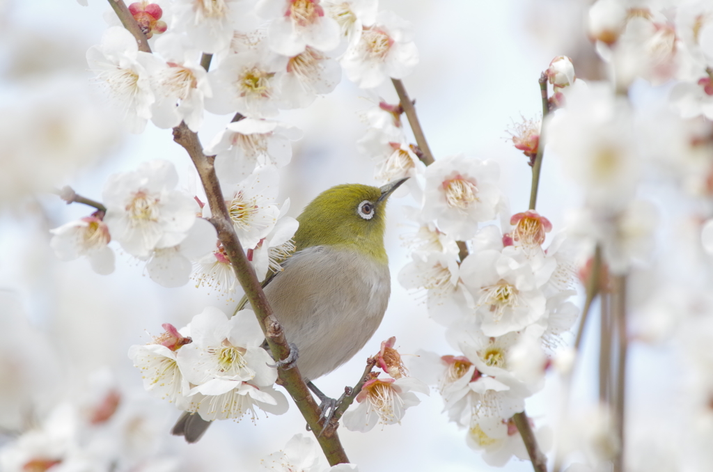 お味はいかが?