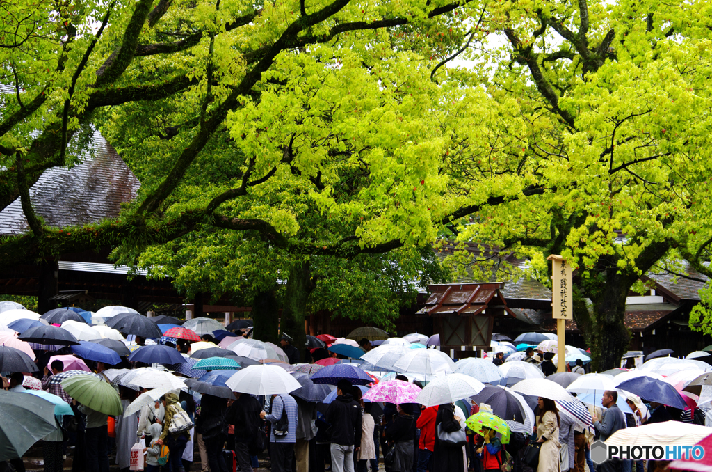 【熱田神宮】令和元年 初日