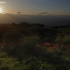 夕暮れ高ボッチ高原