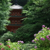 京都 木津川 岩船寺
