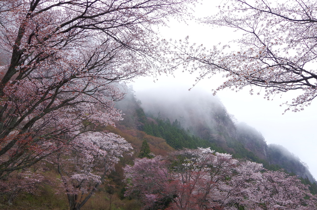 霞む屏風岩