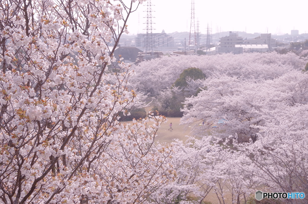 春霞み