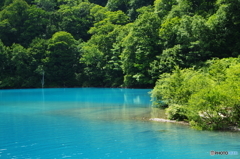 白水湖のエメラルドⅡ