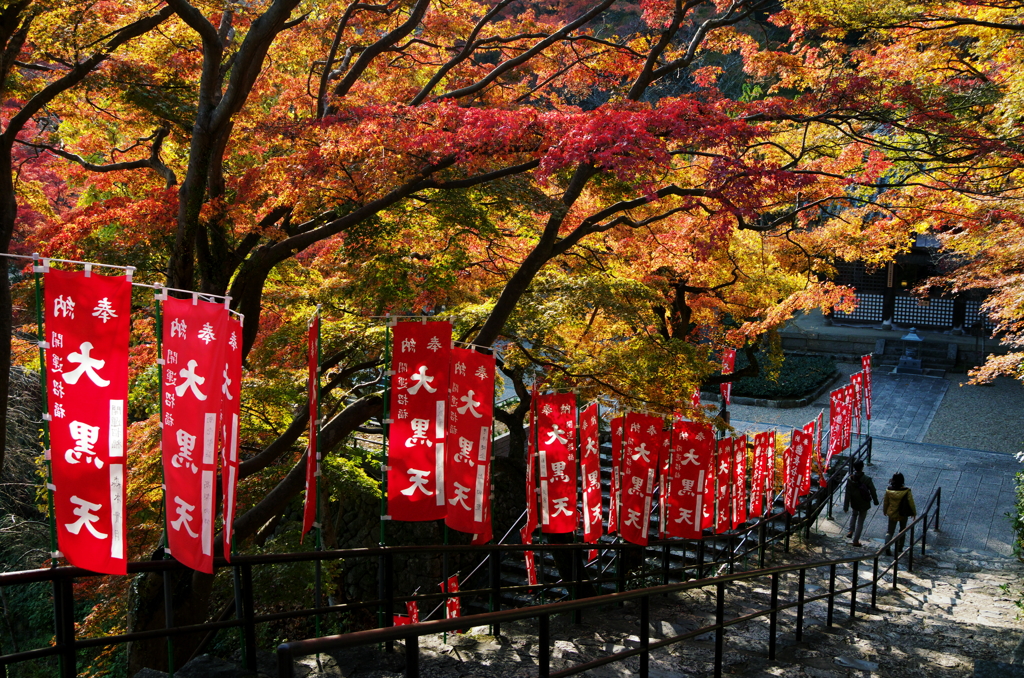 紅葉参道