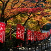 紅葉参道