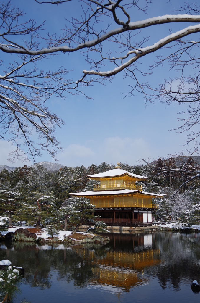 冬晴れ金閣寺