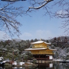 冬晴れ金閣寺