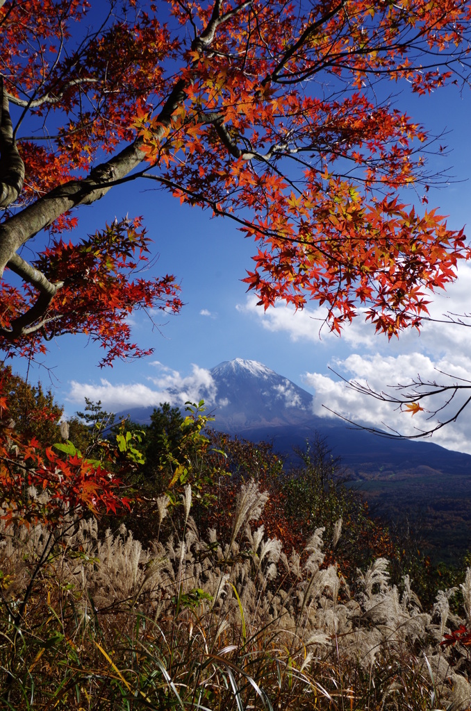 紅葉台より、秋を込めて