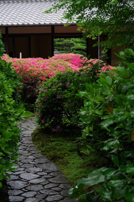 華やぎの間へ