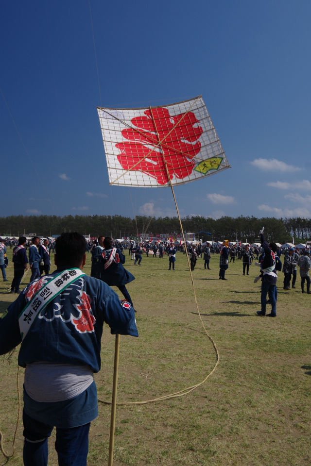 遠州凧上げ合戦絵巻「あがれっ!!」