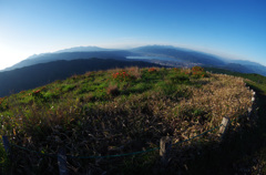 【FISH-EYE】高ボッチ山 山頂