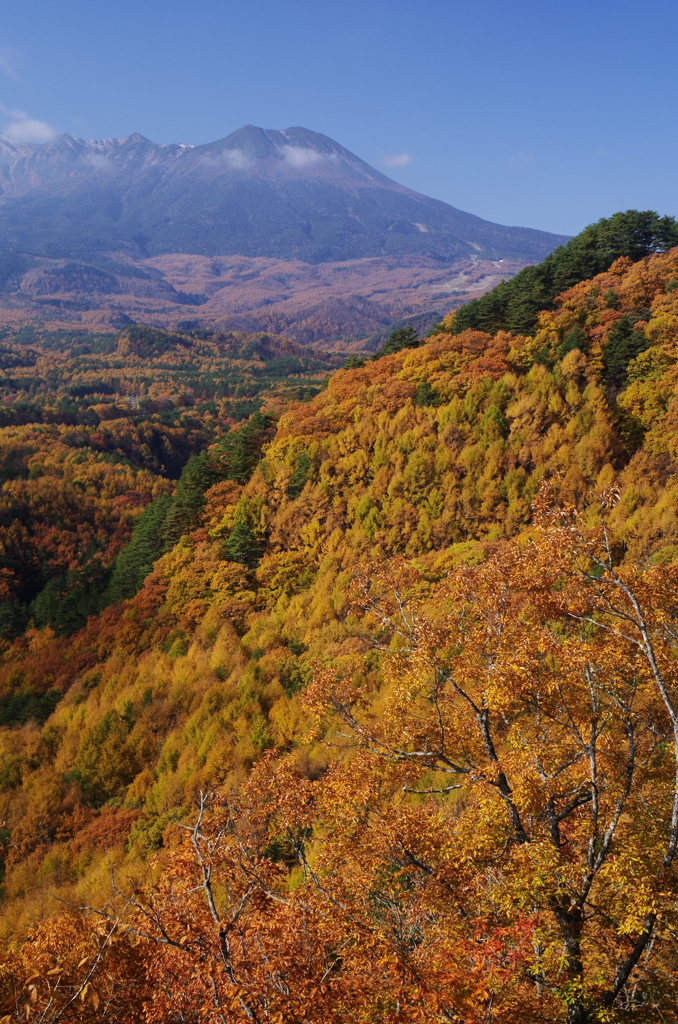 染まる九蔵峠