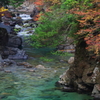 青い水辺に紅添えて