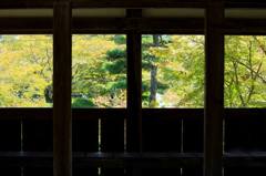 お寺の中から見える風景。