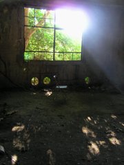 P1010057