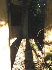 P1010037