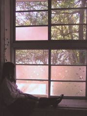 窓辺