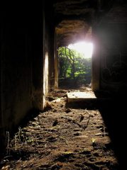 P1010005