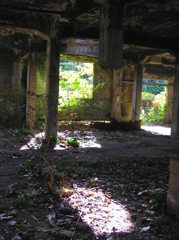 P1010107