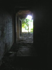 P1010093