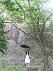 樹雨