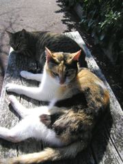 P2150050
