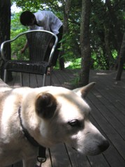 ギャラリーあり