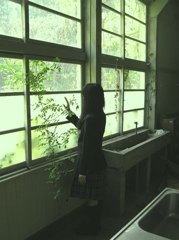 理科室・窓辺