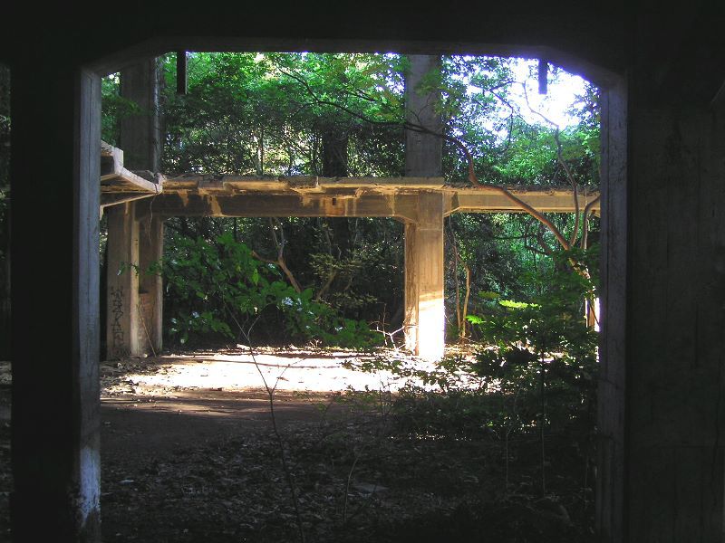 P1010040