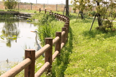 花鳥園入口