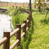 花鳥園入口