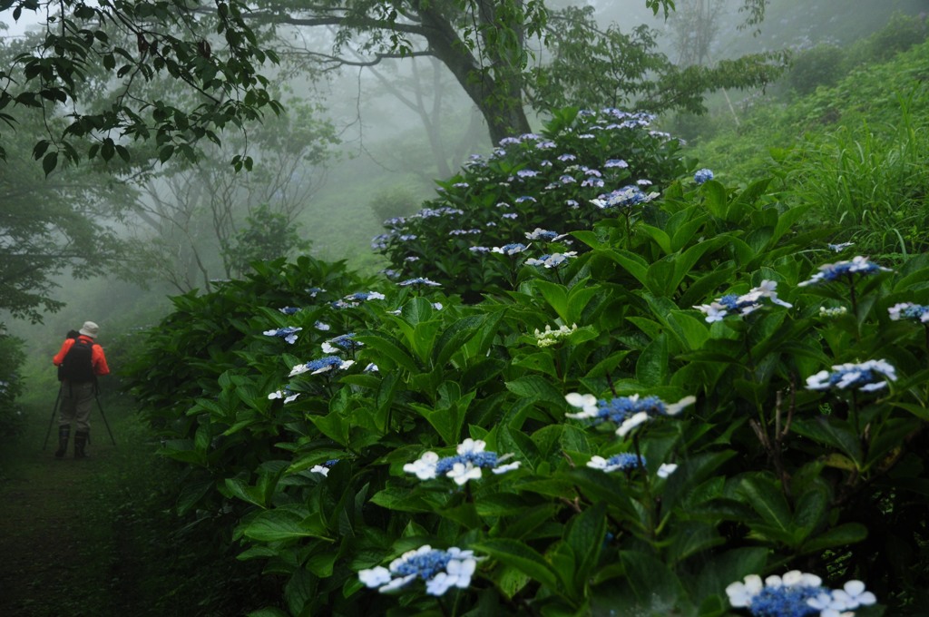 長靴を履いたカメラマン