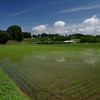 田植えが終わり、すっきり