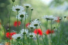 みんないっしょ